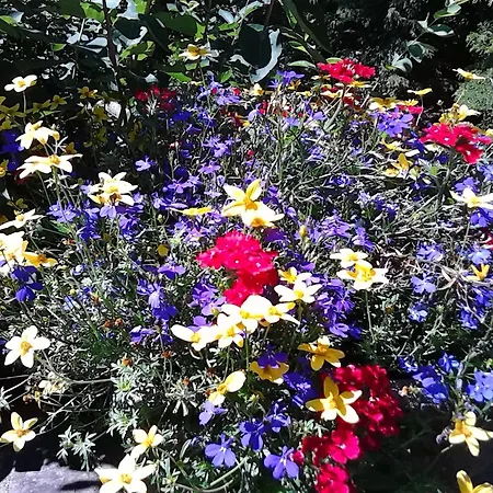 Whistler'S Inn-3